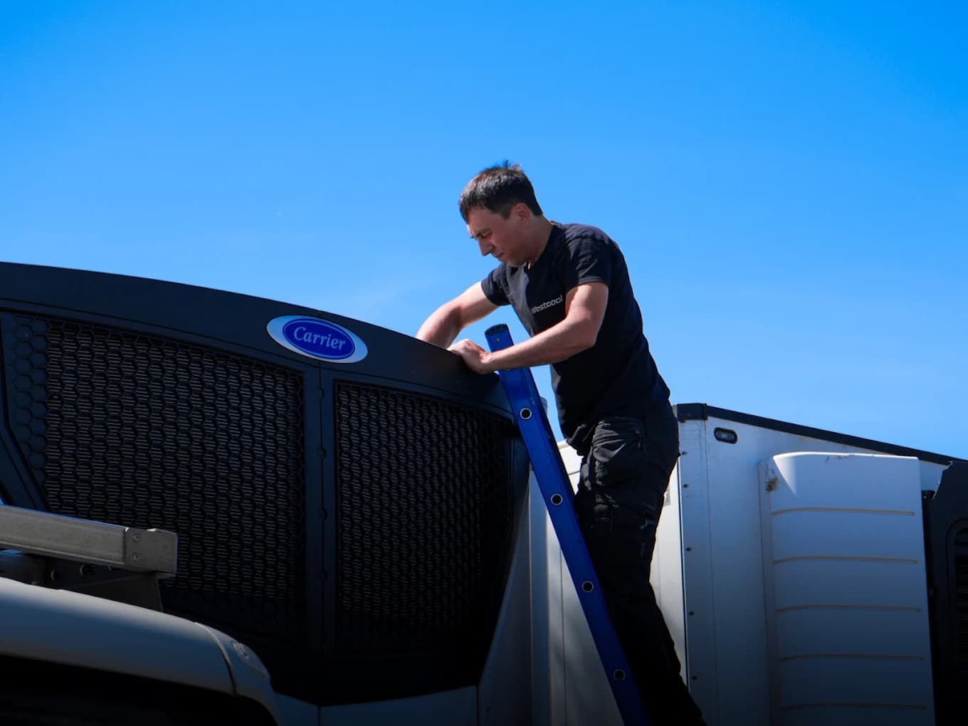 Een technicus van Westcool aan een Carrier-koelgroep, tegen een blauwe lucht